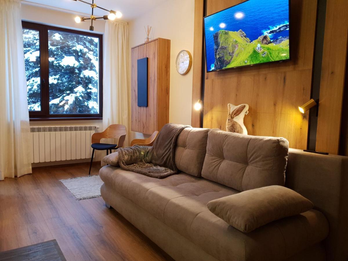 Pinewood Ang Luxurious Apartment A32 Borovets Eksteriør billede