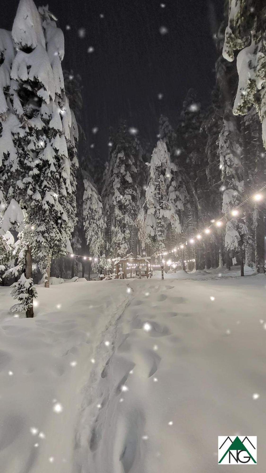 Pinewood Ang Luxurious Apartment A32 Borovets Eksteriør billede
